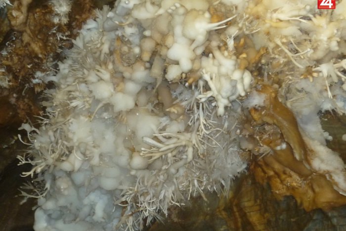 Ilustračný obrázok k článku V podzemí Revúckej vrchoviny objavili huby: Pripomínajú aragonitovú výzdobu!